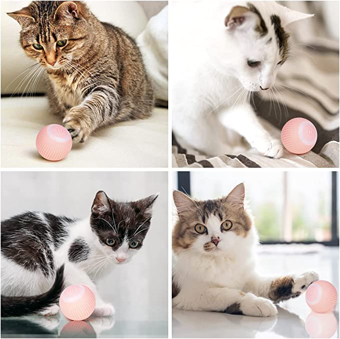 Smart Cat Ball™ | De beste speelbal voor katten!
