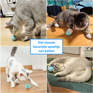 Smart Cat Ball™ | De beste speelbal voor katten!