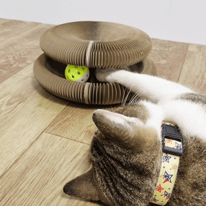 Scratch & Play Ring™ | Het ultieme kattenspeeltje!