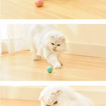 Smart Cat Ball™ | De beste speelbal voor katten!