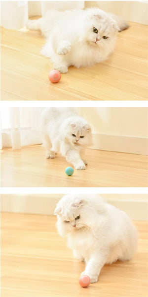 Smart Cat Ball™ | De beste speelbal voor katten!