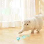 Smart Cat Ball™ | De beste speelbal voor katten!