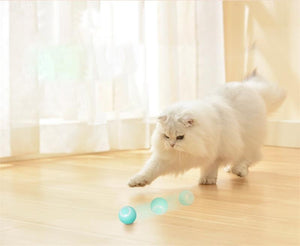 Smart Cat Ball™ | De beste speelbal voor katten!