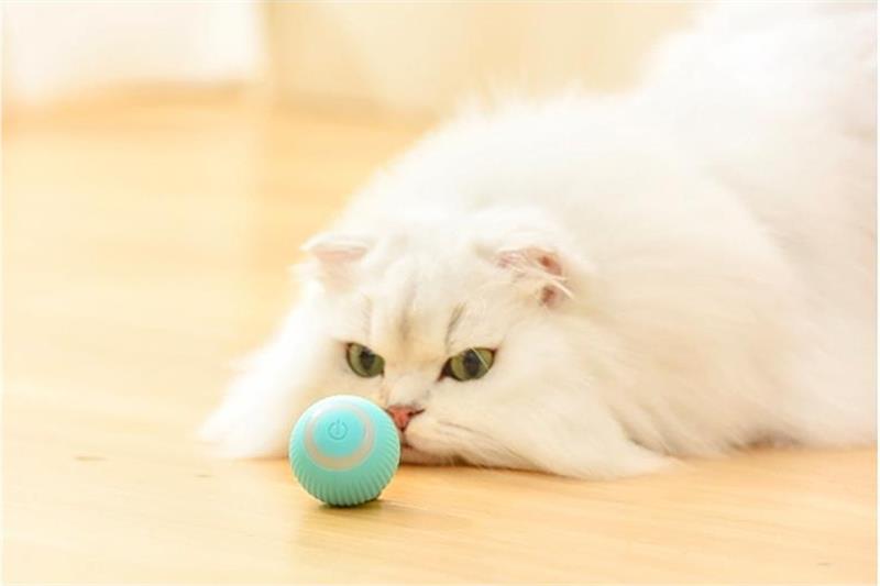 Smart Cat Ball™ | De beste speelbal voor katten!