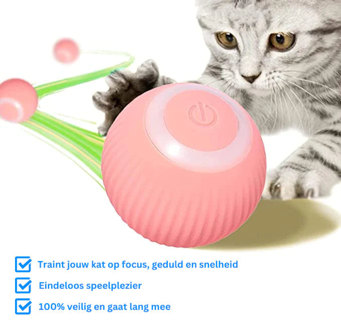 Smart Cat Ball™ | De beste speelbal voor katten!